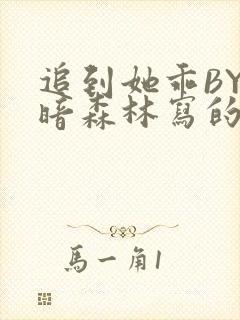 追到她乖BY黑暗森林写的小说