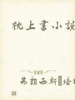 枕上书小说