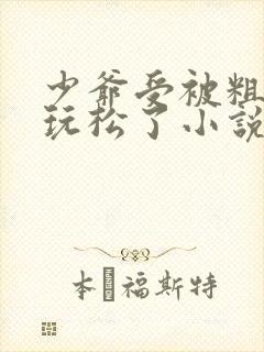 少爷受被粗汉H玩松了小说