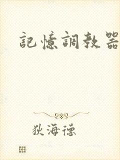 记忆调教器