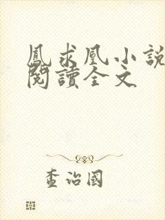 凤求凰小说免费阅读全文