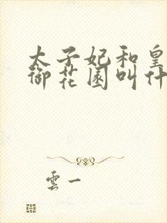 太子妃和皇帝在御花园叫什么小说