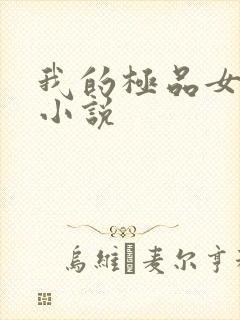 我的极品女老师小说封面