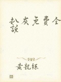扒灰免费全本小说封面