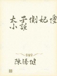 太子侧妃傻乎乎小说封面