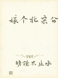 嫁个北宋公务员封面