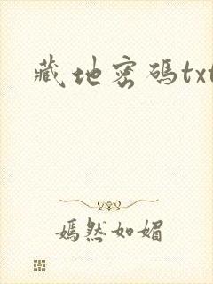 藏地密码txt