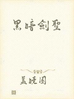 黑暗剑圣封面