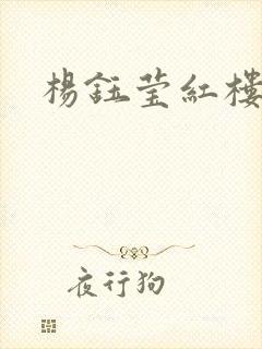 杨钰莹红楼封面
