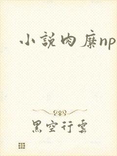 小说肉糜np