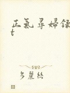 正气寻妇录txt