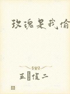 玫瑰是我偷的
