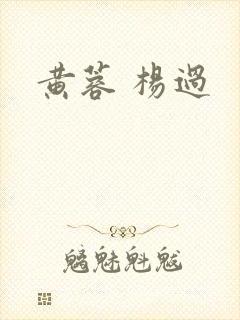 黄蓉 杨过