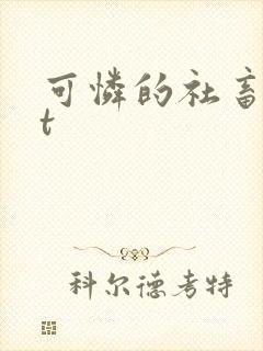 可怜的社畜txt