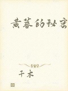 书籍封面