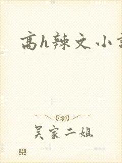 高h辣文小说封面
