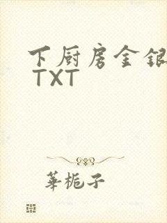 下厨房金银花露 TXT封面