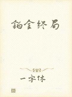 铂金终局