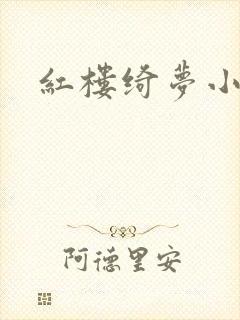 红楼绮梦小说