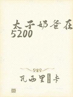 太子奶爸在花都5200封面