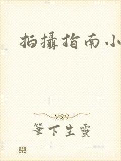 拍摄指南小说
