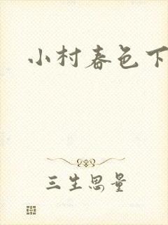 小村春色下载