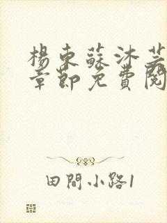 杨东苏沐芸最新章节免费阅读小说封面