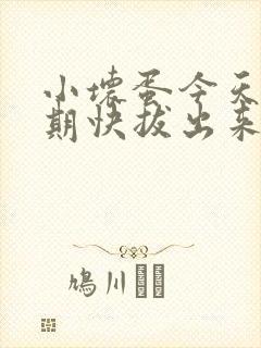 小坏蛋今天危险期快拔出来