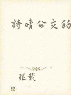 诗晴公交的小说