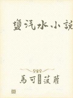 盐汽水小说