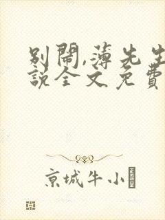 别闹,薄先生小说全文免费阅读