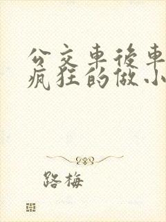 公交车后车座的疯狂的做小
