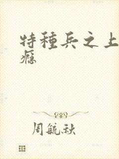 特种兵之上你成瘾封面