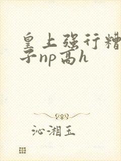 皇上强行糟蹋太子np高h封面