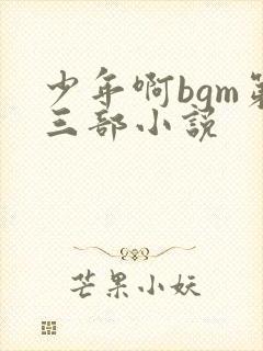 少年啊bgm第三部小说