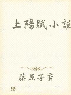 上阳赋小说
