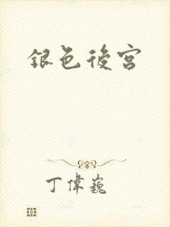 银色后宫