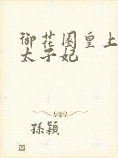 御花园皇上撞着太子妃封面