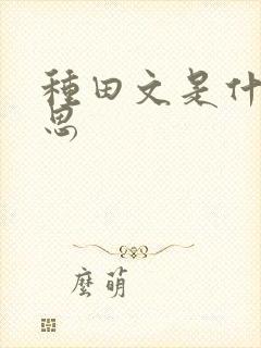 种田文是什么意思封面