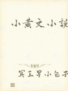 小黄文小说