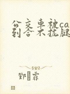 公交车被cao到合不拢腿视频