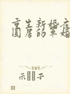 重生新婚夜正在圆房的军婚