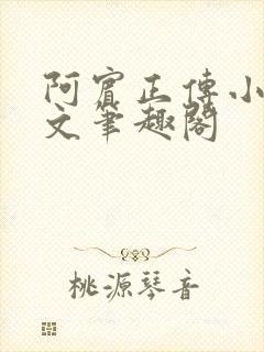 阿宾正传小说全文笔趣阁