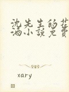 沈先生的花式调酒小说免费阅读