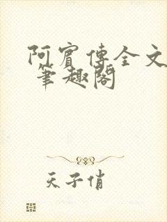 阿宾传全文阅读 笔趣阁封面