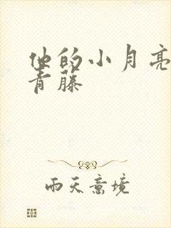 他的小月亮by青藤