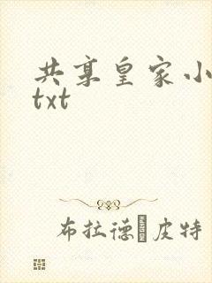 共享皇家小公主txt