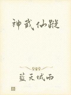 神武仙踪封面