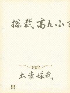 总裁高h小说
