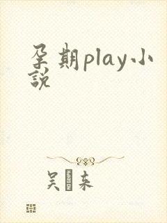 孕期play小说